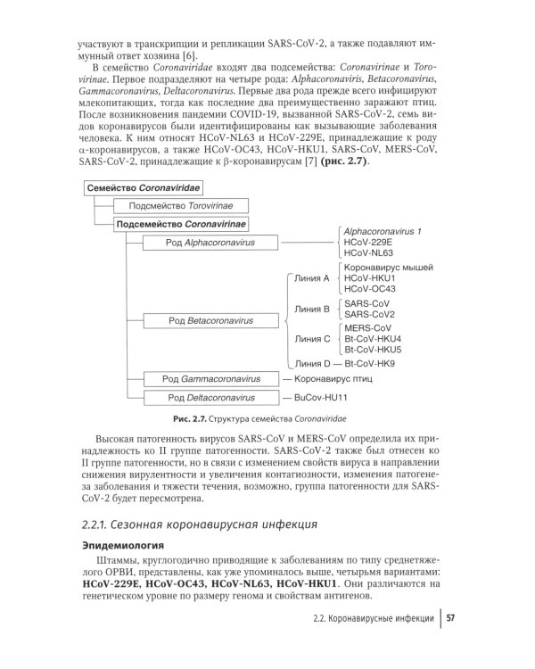 Грипп и ОРВИ в XXI веке: руководство для врачей