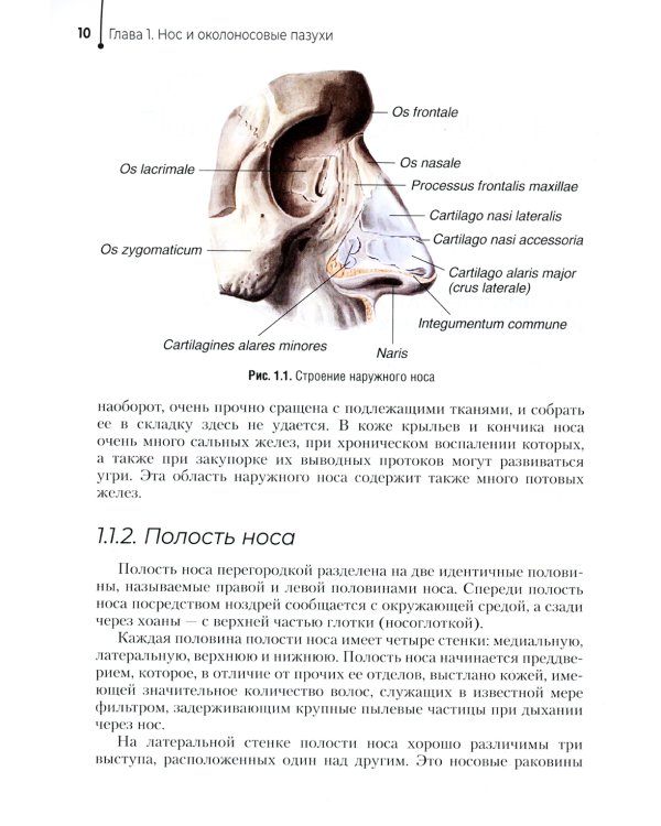 Диагностика и лечение пациентов с заболеваниями глаз и ЛОР-органов: Учебное пособие