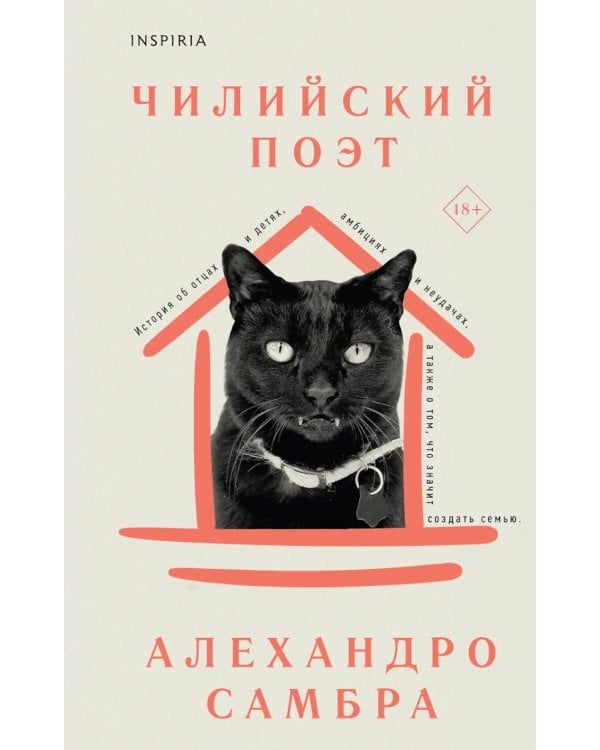 Чилийский поэт