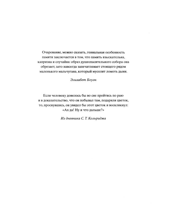 Лети, светлячок: роман