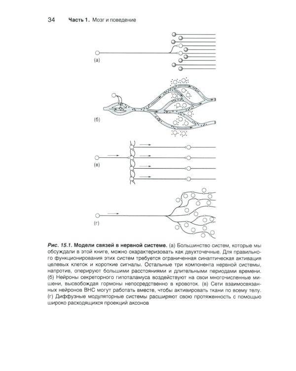 Нейронауки. Исследование мозга: В 3 т  (комплект из 3-х книг)