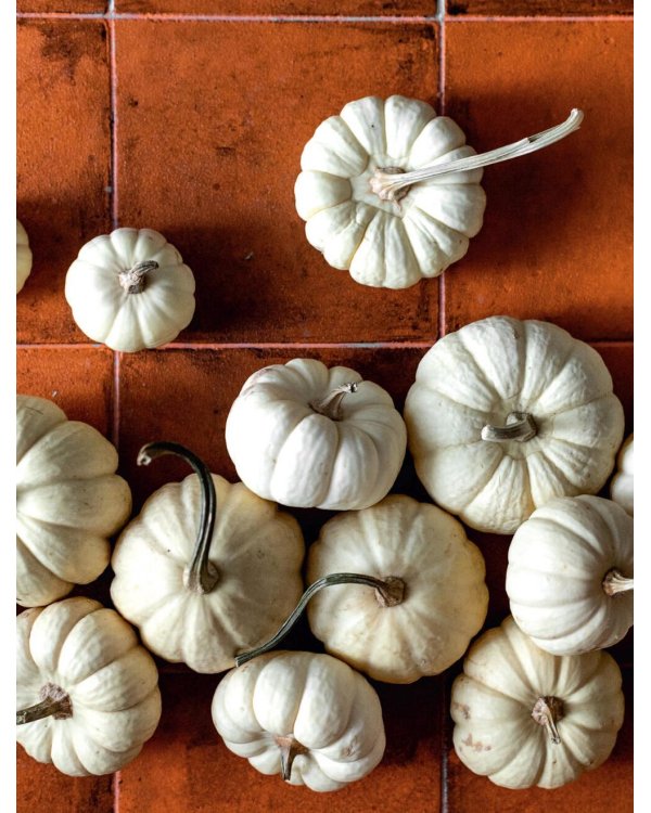 Тыквенная книга. Яркие блюда. Ароматные сочетания