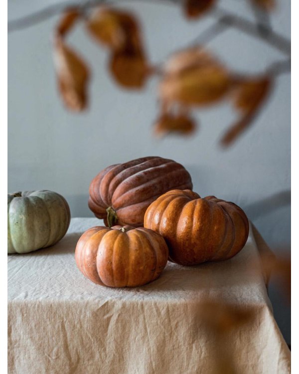 Тыквенная книга. Яркие блюда. Ароматные сочетания