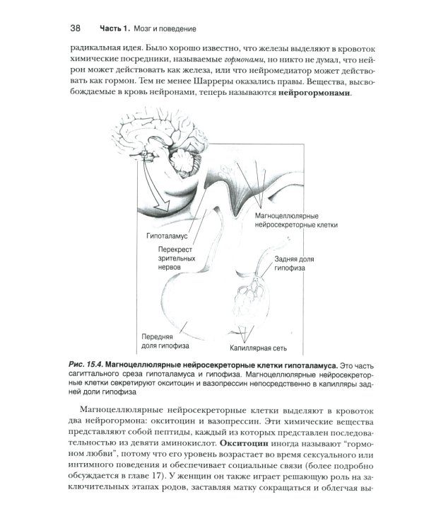 Нейронауки. Исследование мозга: В 3 т  (комплект из 3-х книг)