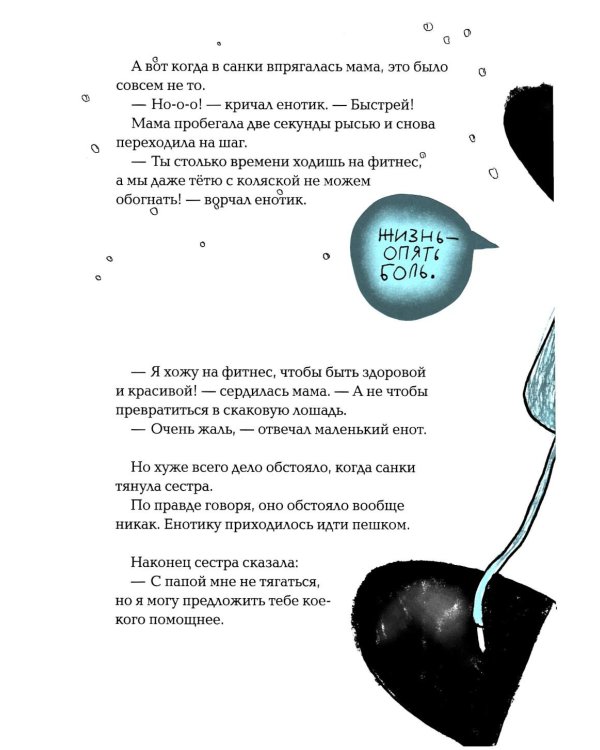 Енот в музее