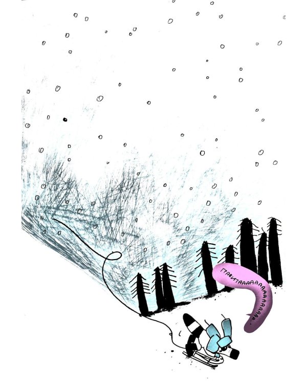 Енот в музее