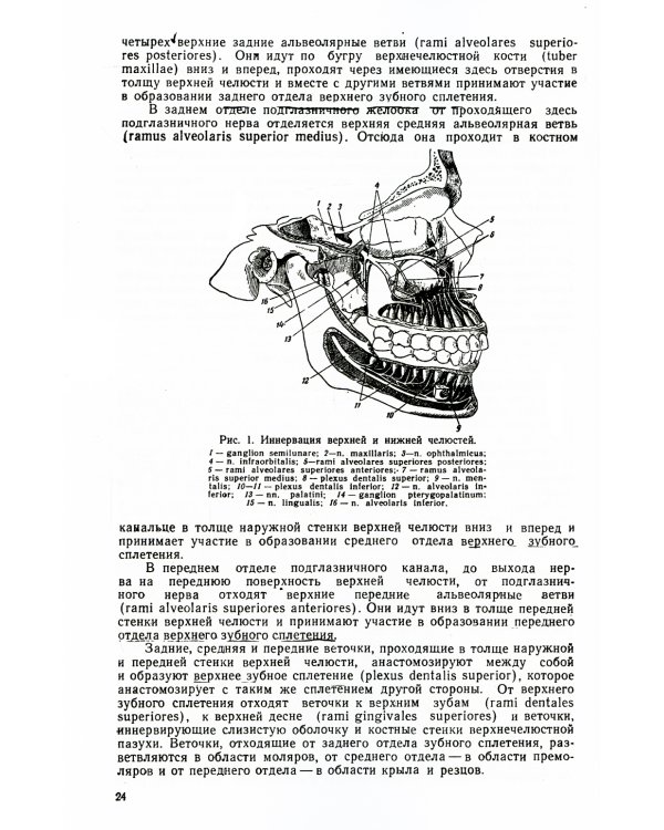 Хирургическая стоматология