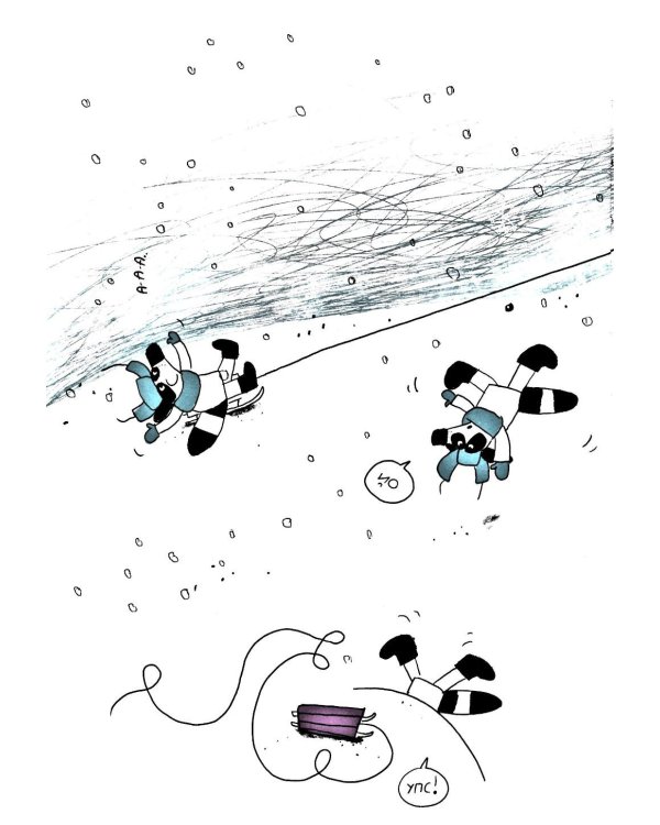 Енот в музее