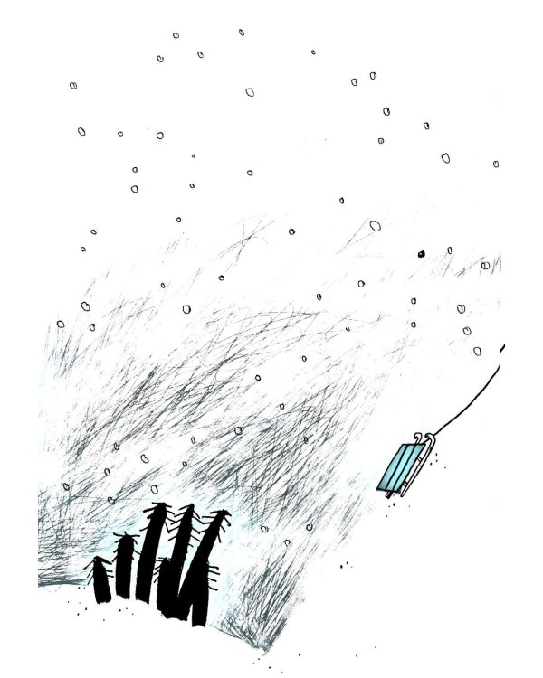 Енот в музее