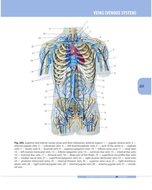 Textbook of Human Anatomy. In 3 v. V. 2: Splanchnology and cardiovascular system = Анатомия человека. В 3 т. Т. 2: Спланхнология и сердечно-сосуд.сист