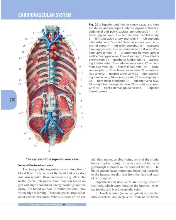 Textbook of Human Anatomy. In 3 v. V. 2: Splanchnology and cardiovascular system = Анатомия человека. В 3 т. Т. 2: Спланхнология и сердечно-сосуд.сист