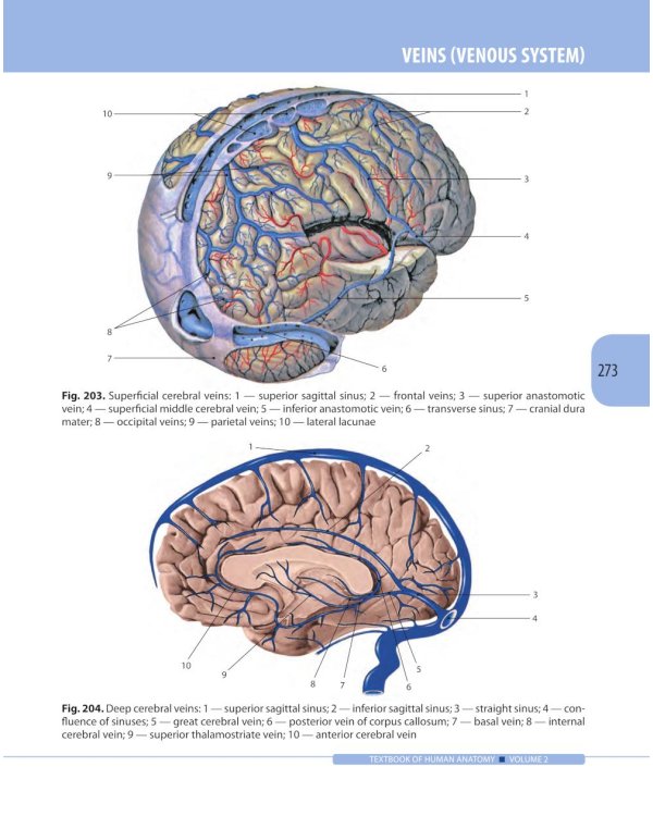 Textbook of Human Anatomy. In 3 v. V. 2: Splanchnology and cardiovascular system = Анатомия человека. В 3 т. Т. 2: Спланхнология и сердечно-сосуд.сист