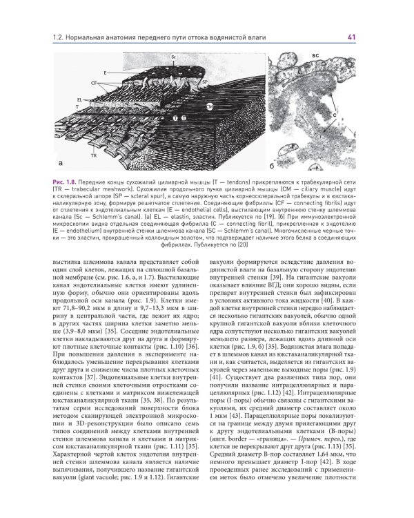 Новые концепции в хирургии глаукомы