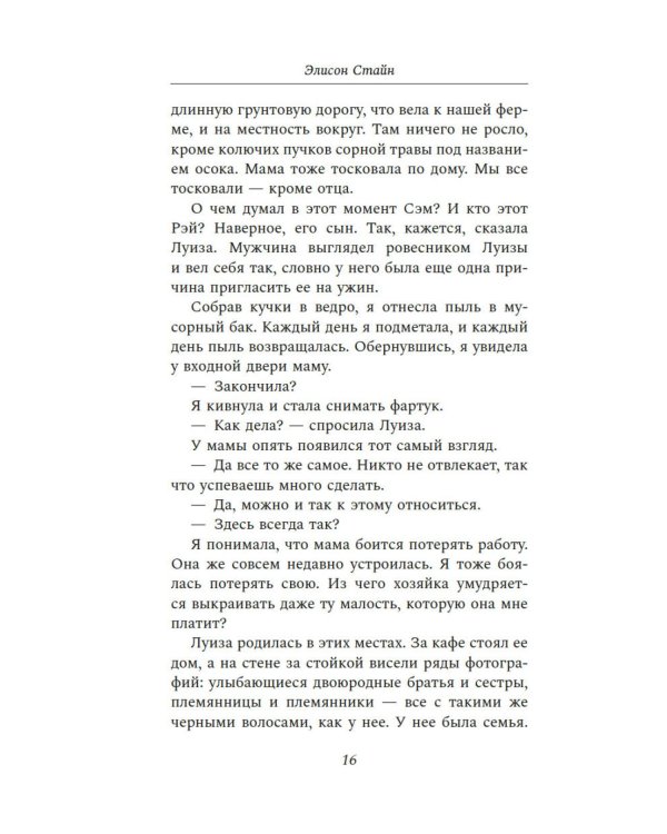 Черная метель: роман