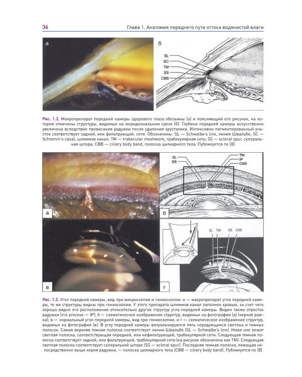 Новые концепции в хирургии глаукомы