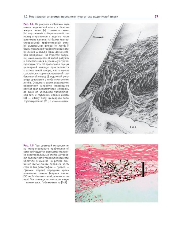 Новые концепции в хирургии глаукомы