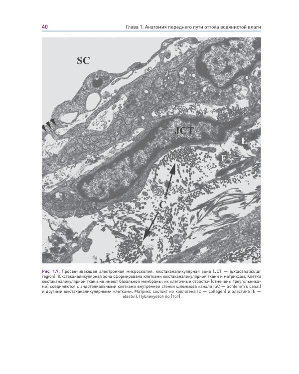 Новые концепции в хирургии глаукомы