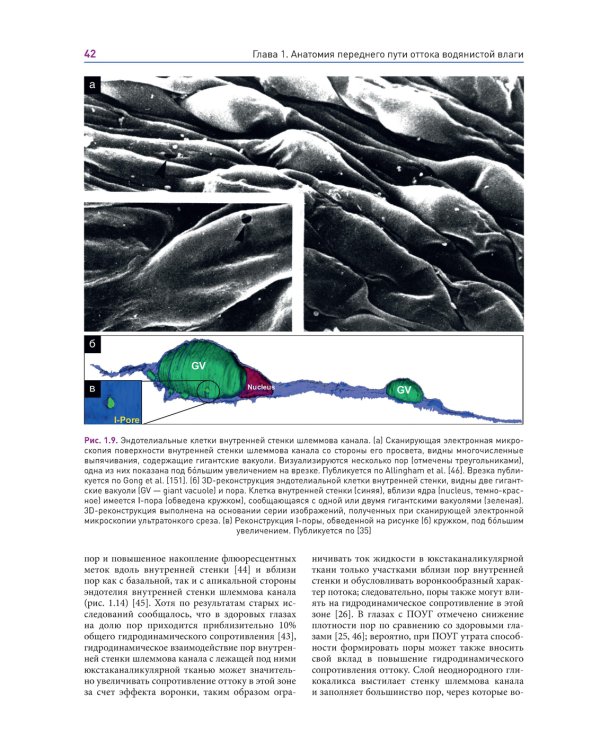 Новые концепции в хирургии глаукомы