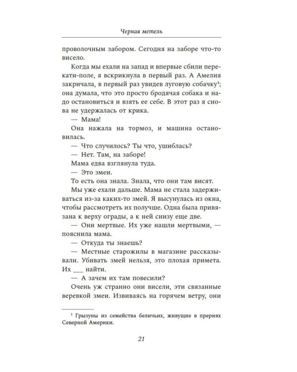 Черная метель: роман