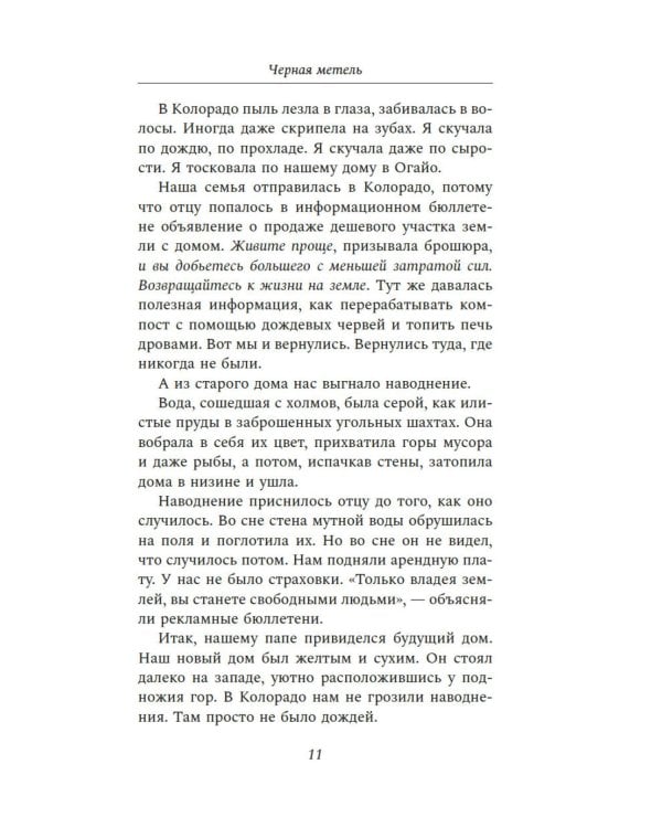 Черная метель: роман