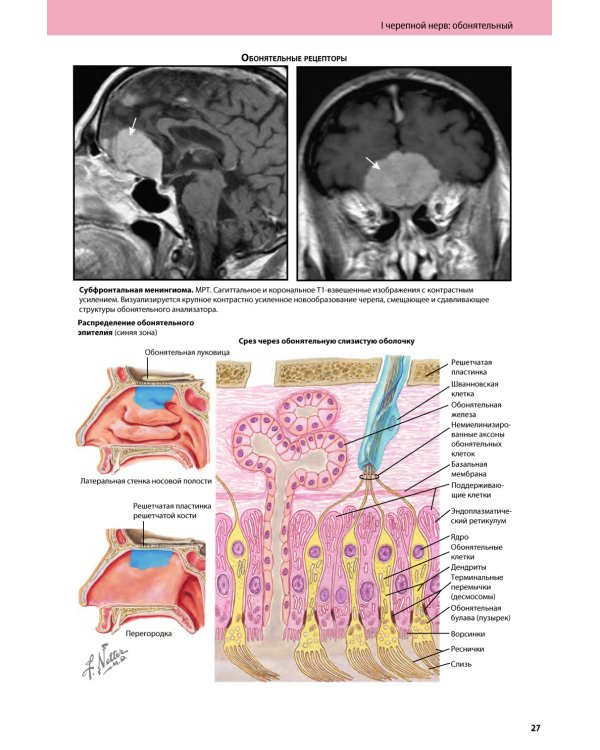 Черепные нервы. 2-е изд