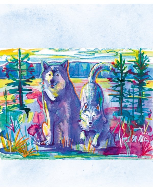 Сказки от хаски