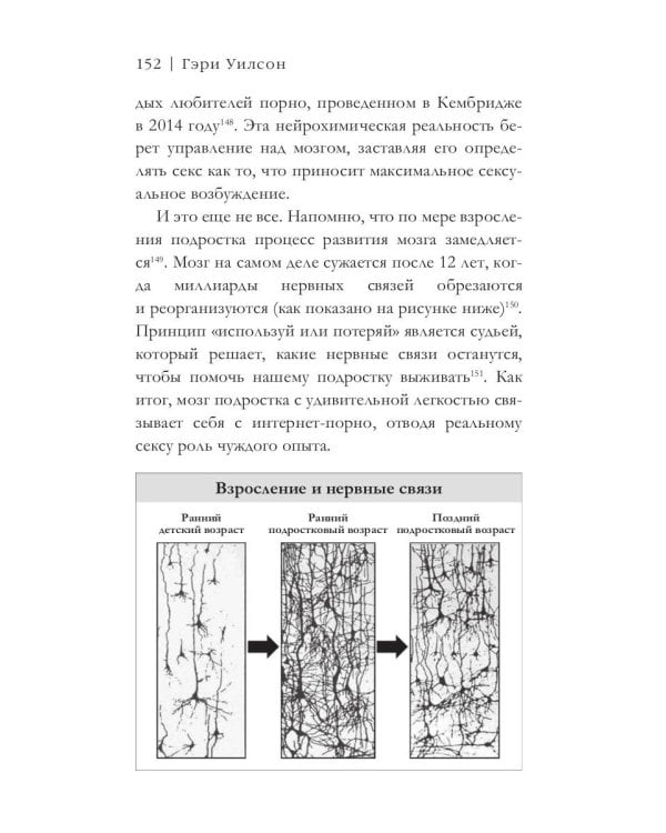 На порноигле. Порнография и природа зависимости