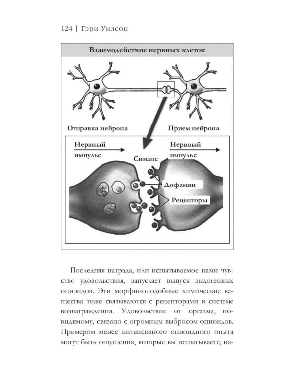 На порноигле. Порнография и природа зависимости