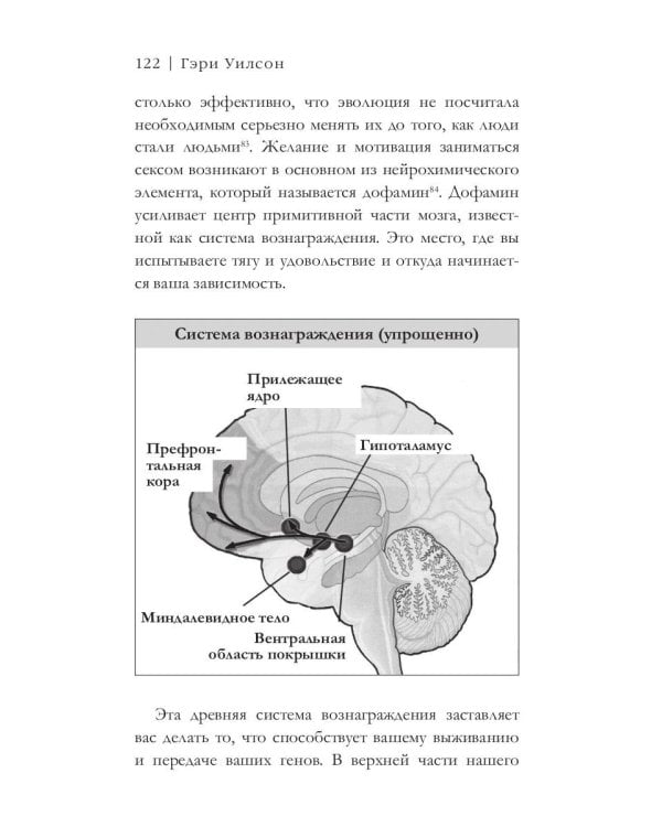 На порноигле. Порнография и природа зависимости