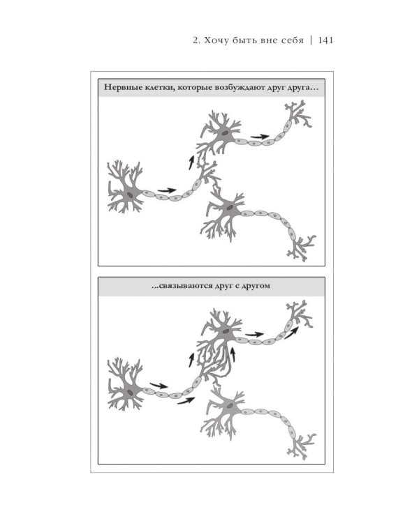 На порноигле. Порнография и природа зависимости