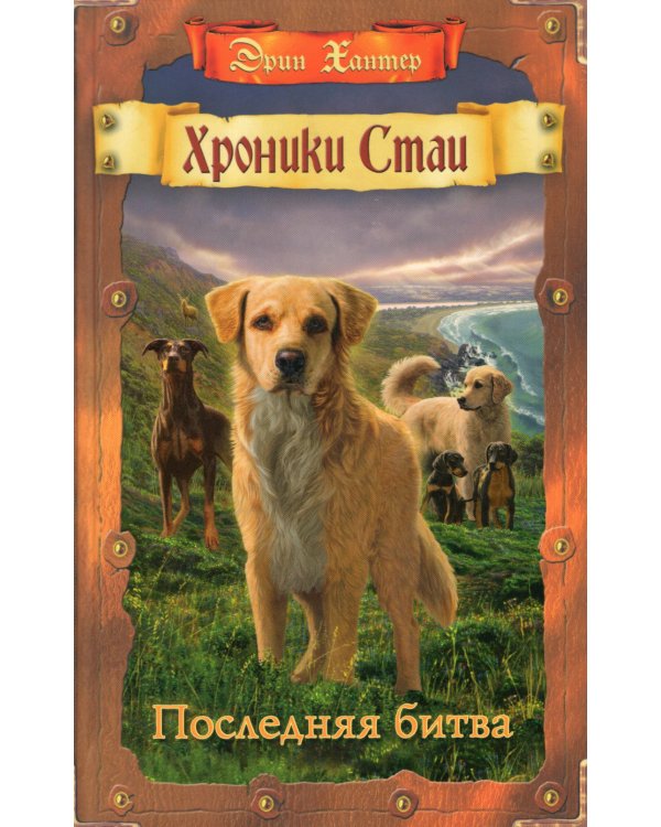 Последняя битва