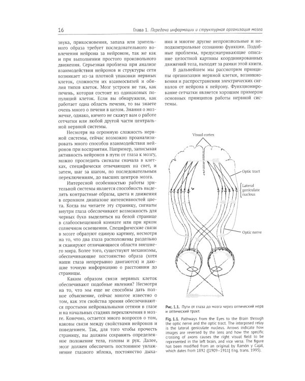 От нейрона к мозгу. 6-е изд