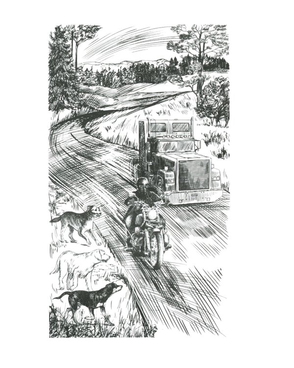 Последняя битва