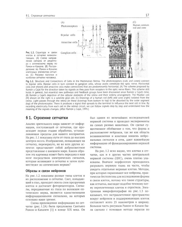 От нейрона к мозгу. 6-е изд