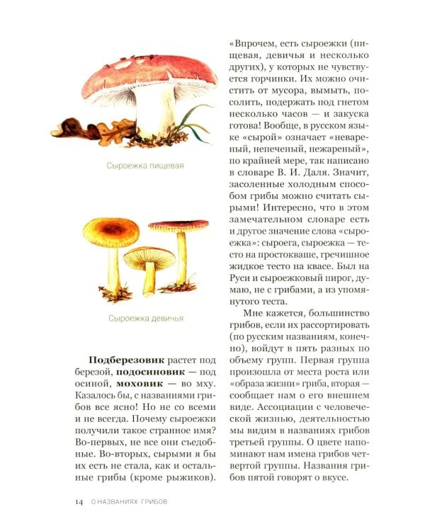 Цезарь и его мухомор (истории из жизни грибов)