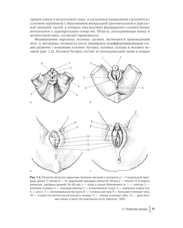 Патология вульвы и влагалища. Диагностические алгоритмы: практическое руководство