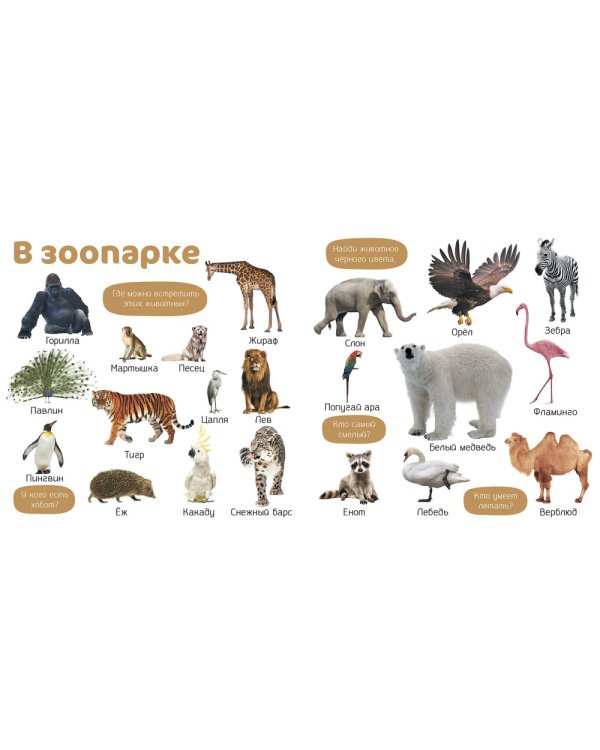 Мои первые фотокниги. Изучаем мир