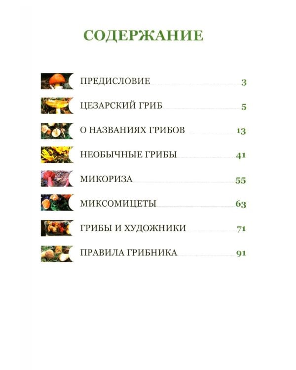 Цезарь и его мухомор (истории из жизни грибов)