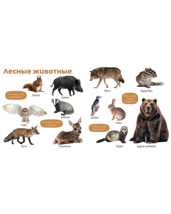 Мои первые фотокниги. Изучаем мир