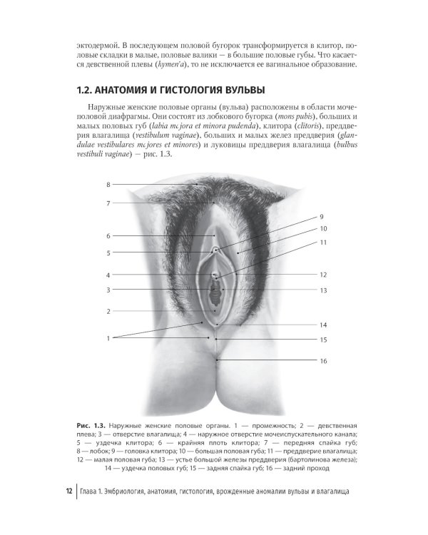 Патология вульвы и влагалища. Диагностические алгоритмы: практическое руководство