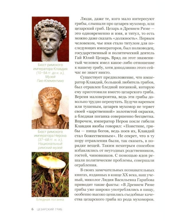 Цезарь и его мухомор (истории из жизни грибов)