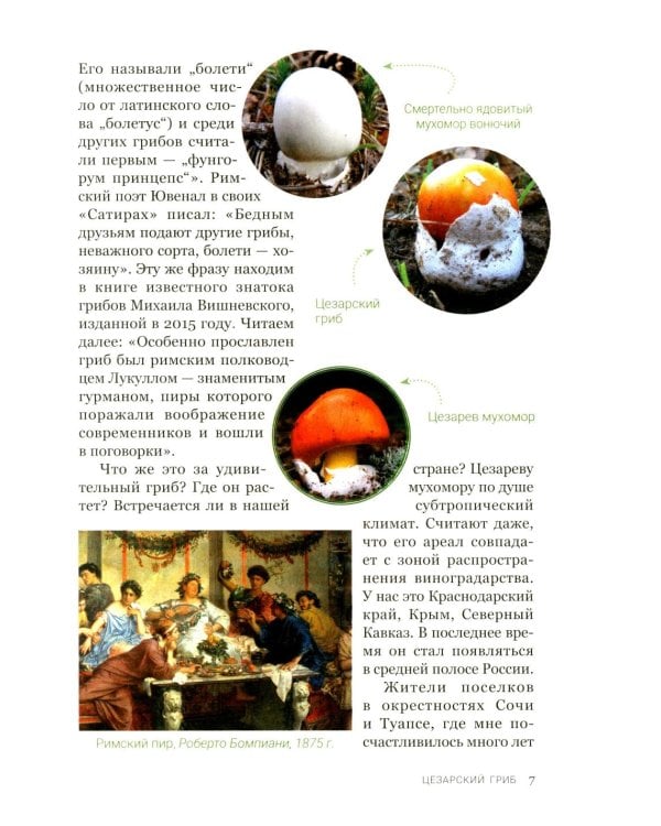 Цезарь и его мухомор (истории из жизни грибов)