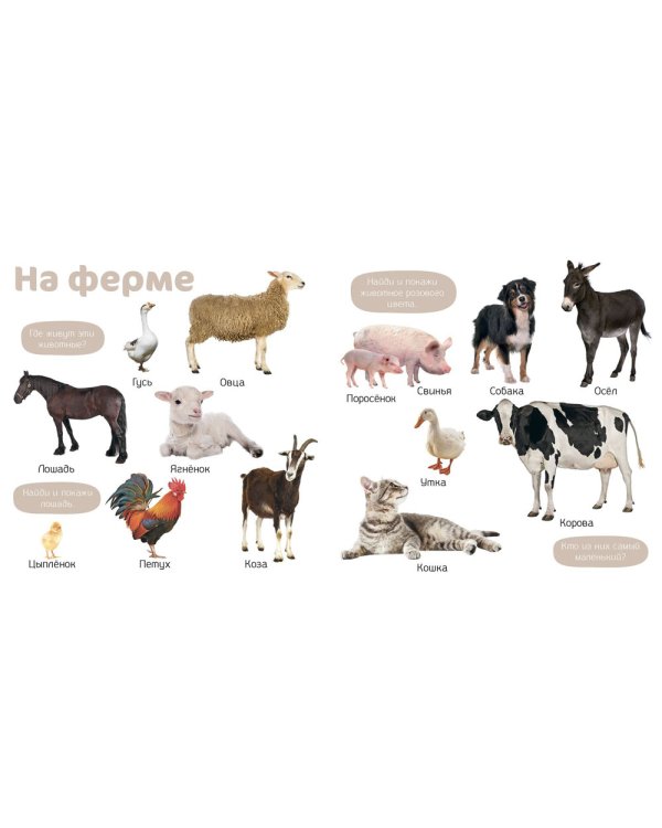 Мои первые фотокниги. Изучаем мир