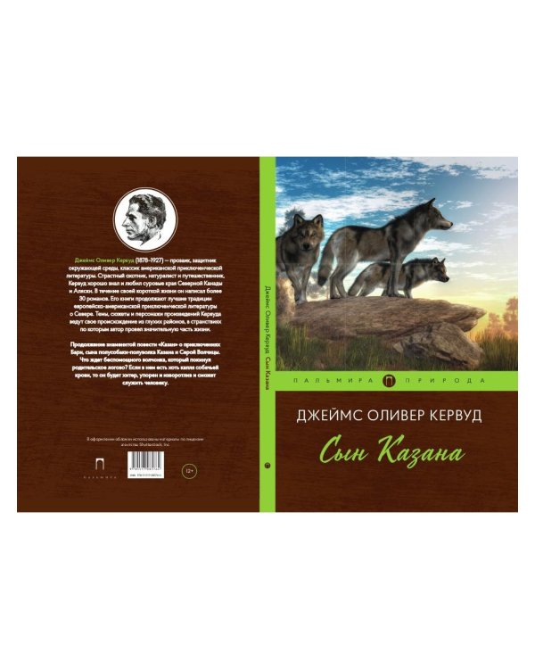 Сын Казана: повесть