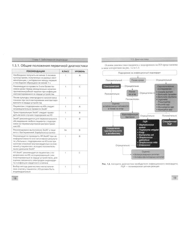 Некоронарогенная патология сердца и кардиоваскулярные осложнения химиотерапии