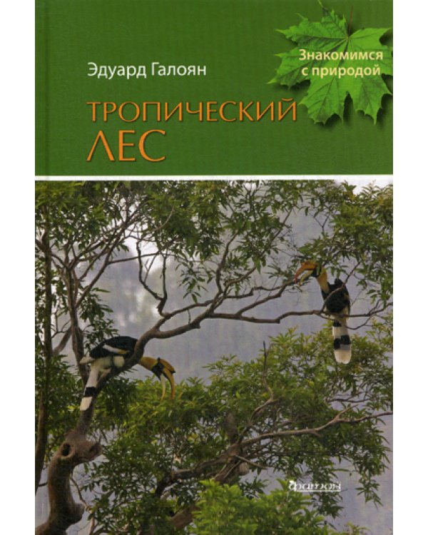 Тропический лес