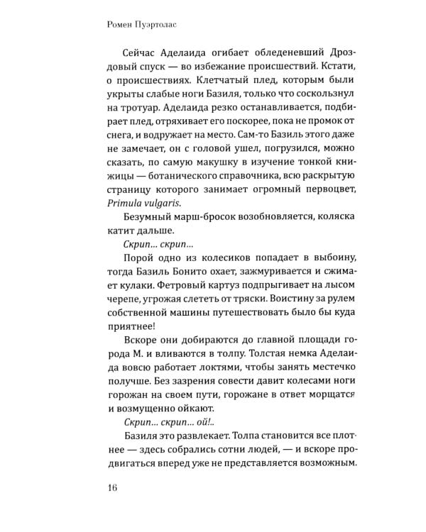 Под зонтом Аделаиды: роман