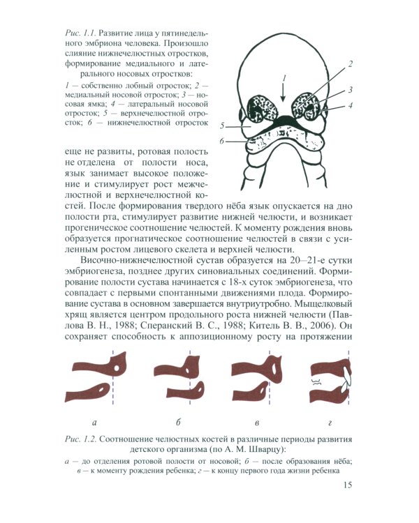Основы ортодонтии: Учебное пособие. 3-е изд., испр.и доп