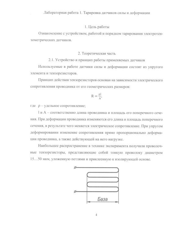 Физика прочности и пластичности. Практикум: Учебное посоибие