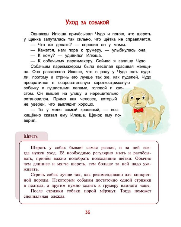 Моя собака - чудо!